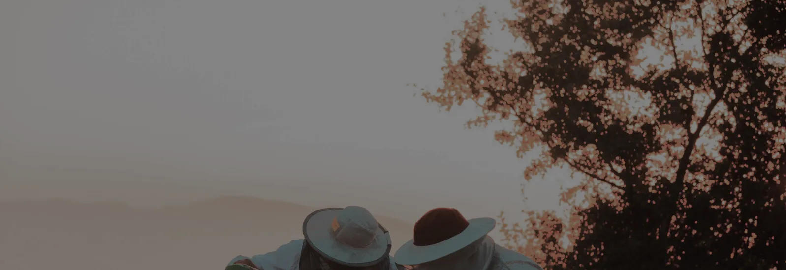 Beekeepers working at sunset